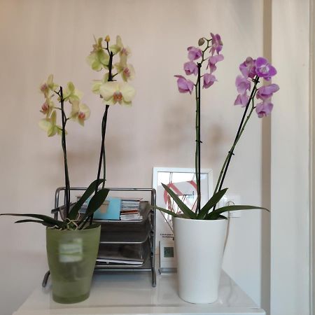 Falk Miksa Apartment بودابست المظهر الخارجي الصورة