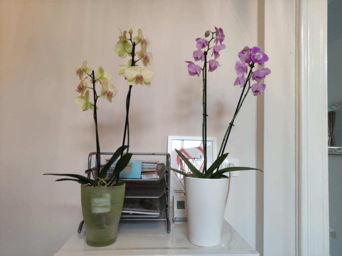 Falk Miksa Apartment بودابست المظهر الخارجي الصورة